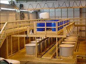 Interior view of AWRI's first mesocosm facility in Muskegon.